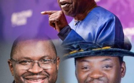 Economic X-ray: Nigerians Sinking Deeper into Poverty Says Kperogi, Oyedokun