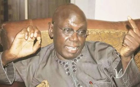 Veteran Journalist, Newswatch Co-Founder Dan Agbese Dies Aged 81