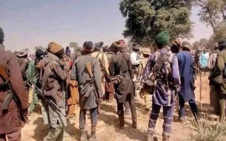 Terrorists Abduct Unidentified Numbers of Students, Tachers from Niger Boarding School in Midnight Attack