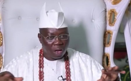 "Terrorists Have Infiltrated South-West Nigeria," Aare Gani Adams Raises Alarm
