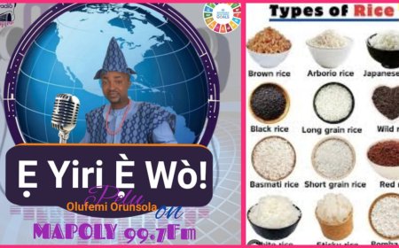 "Imagine a World Without Rice: What Would You Eat Instead?", Rice Takes Centre Stage of Discourse on "E YIRI E WO!" Media Show