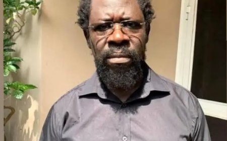 Dele Farotimi Bemoans Insecurity in Nigeria Express Shock at Audacity of Bandits Kingpin Dictating to Government 