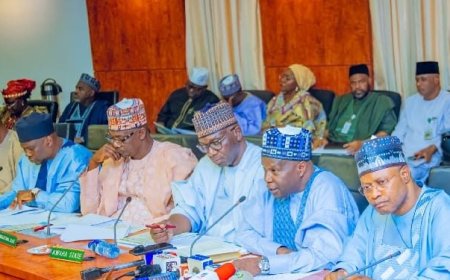 Insecurity: Northern Governors Convene Emergency Meeting