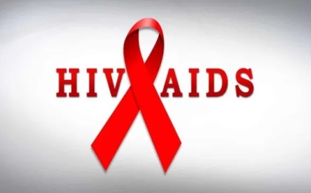 World HIV Day 2025: 'Ogun Targets HIV – Free State By 2030' Says Health Commissioner, Harps on Mother-to-Child Transmission Prevention 