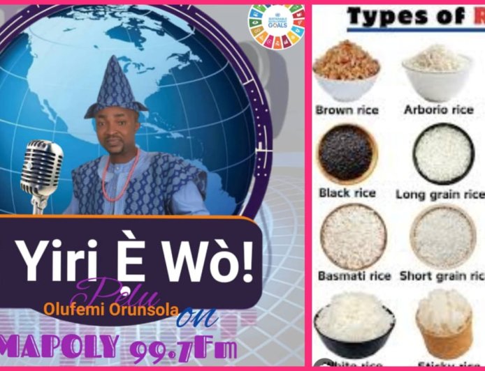 "Imagine a World Without Rice: What Would You Eat Instead?", Rice Takes Centre Stage of Discourse on "E YIRI E WO!" Media Show