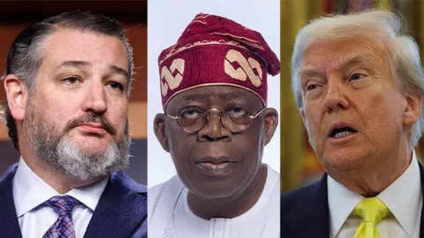 County of Particular Concern: U.S Senator, Ted Cruz Introduces Legislation to Tackle Sharia Law, Blasphemy Law in Nigeria