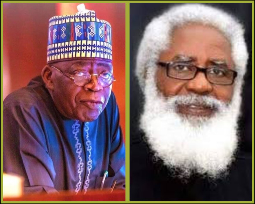 'Avoid Using Propaganda to Fight Insecurity', Ex Nigerian Envoy Counsels Tinubu Not to Visit Trump, Calls for Swift Action Against Insecurity