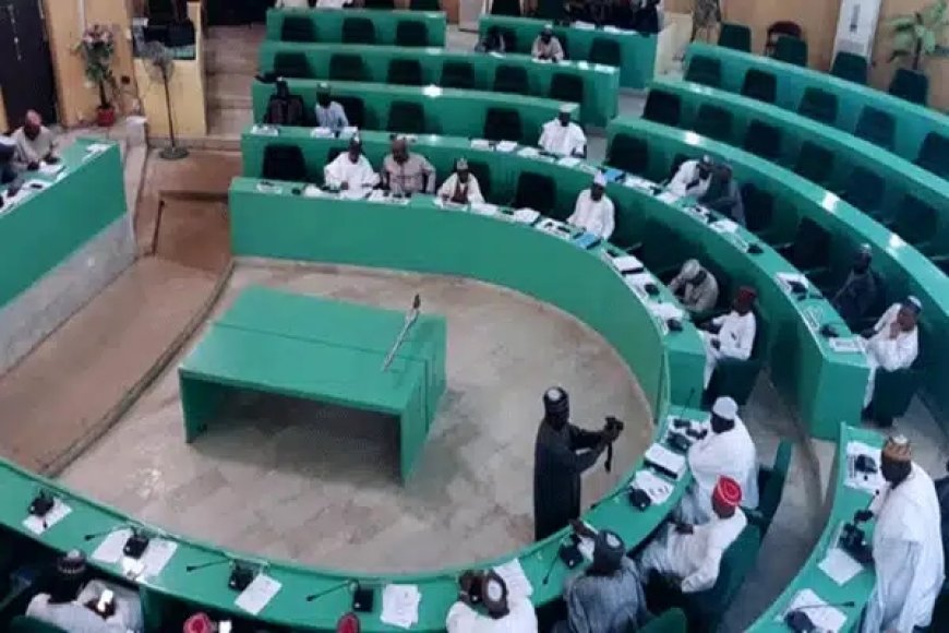 Citing China, Japan, India as Examples, Kano Assembly Passes Bill That Makes Hausa Main Language For Teaching in Schools