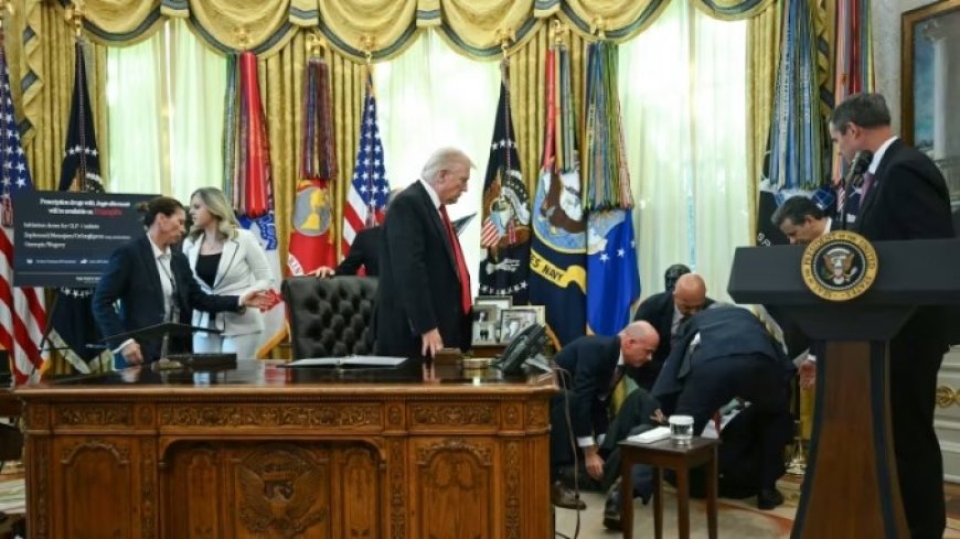 Confusion as Health Care Company Rep Faints Beside Trump in White House