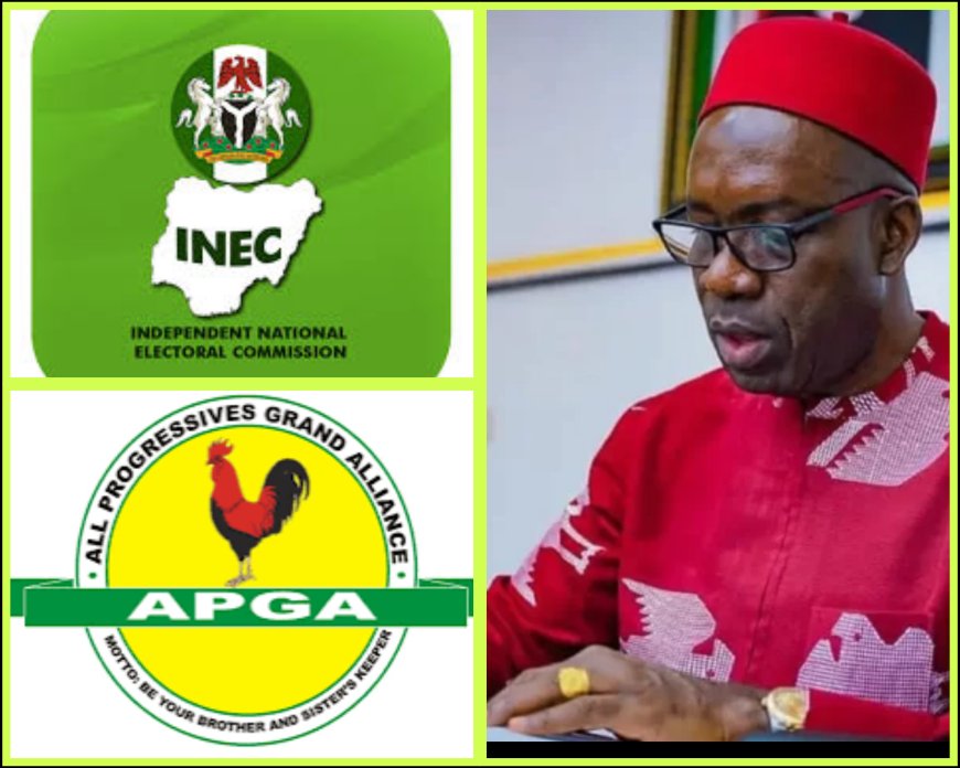 INEC Declares APGA Candidate Soludo Winner of Anambra Gubernatorial Election 