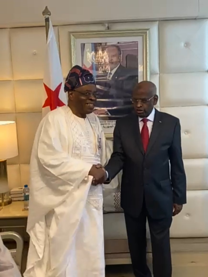 OTN News Celebrates Member, Prof. Babafemi Badejo on Conferment of Djibouti National Honour, Says Honour Well Deserved