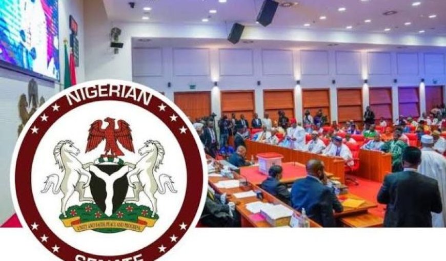 FG Trains 50 Senators, Reps on ‘How to Negotiate With US’ as Insecurity Worsens