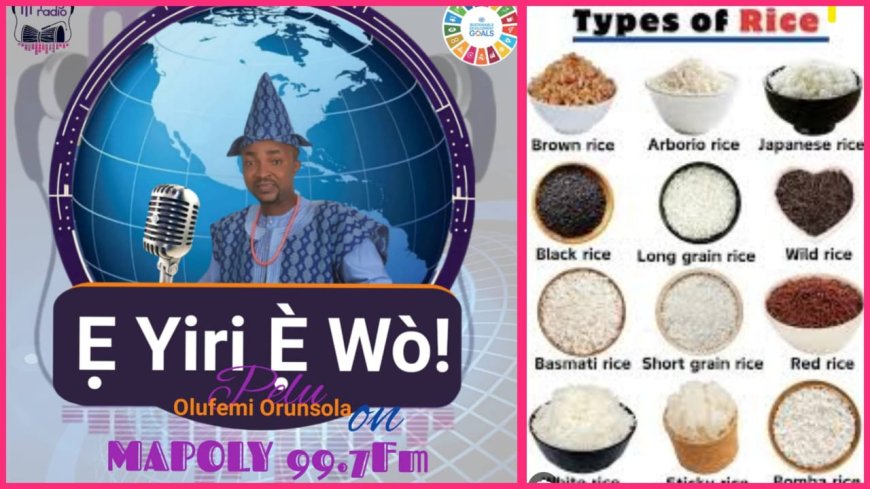 "Imagine a World Without Rice: What Would You Eat Instead?", Rice Takes Centre Stage of Discourse on "E YIRI E WO!" Media Show