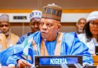 'Run Away from Anywhere There is No Ibo Man': Mixed Reactions Greet Vice President Kashim Shettima's Statement