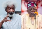 Nobel Laureate Soyinka Questions Nigeria's Priorities As Senate Approves Tinubu’s Request to Send Troops to Benin Republic