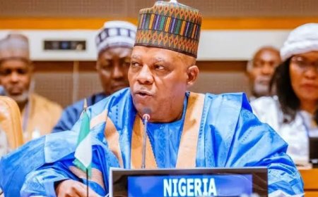 'Run Away from Anywhere There is No Ibo Man': Mixed Reactions Greet Vice President Kashim Shettima's Statement