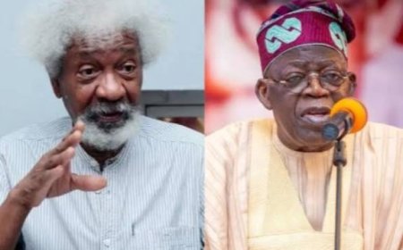 Nobel Laureate Soyinka Questions Nigeria's Priorities As Senate Approves Tinubu’s Request to Send Troops to Benin Republic
