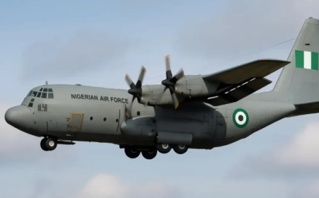 Burkina Faso Releases 11 Detained Nigerian Soldiers