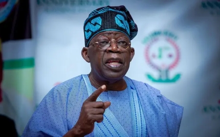 "NSA Take This Very Seriously.” No Going Back on Police Withdrawal from VIPs' Tinubu Insists