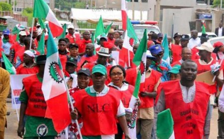 December 17: NLC to Hold Nationwide Protest Over Insecurity