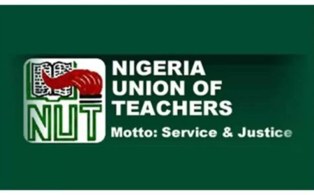 "Teaching Is a Noble Profession, Not a Death Sentence", Teachers Vow to Resign Over Insecurity