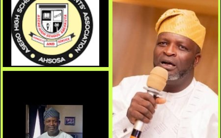 AHSOSA Elects new Executives as Ariyo Adekanmbi emerge President Elect