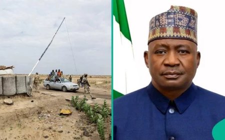 Ransom Facilitators, Negotiators, Over 20 Individuals, Groups Will be Treated as Terrorists Under New Security Doctrine - FG