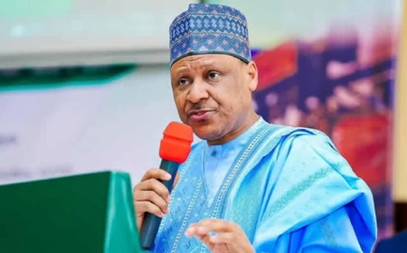 'No Going Back on New Tax Law Implementation from January 1, 2026' FG Insists