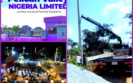 REAL ESTATE NEWS: Pelican Valley Connects AVI Street In Estate to Grid, CCTV, Street Lights,