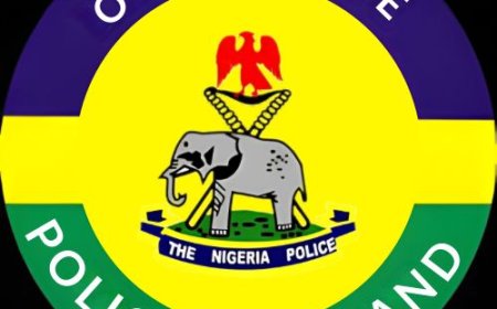 PUBLIC NOTICE: LOST PURSE RECOVERED IN IBAFO AREA