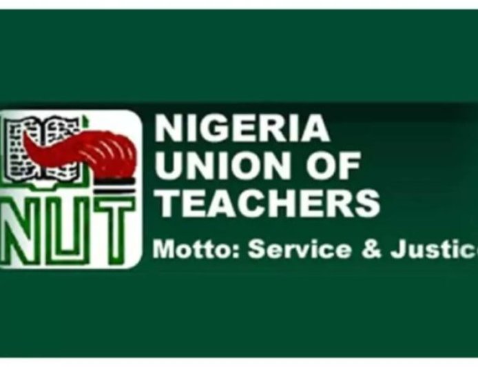 "Teaching Is a Noble Profession, Not a Death Sentence", Teachers Vow to Resign Over Insecurity