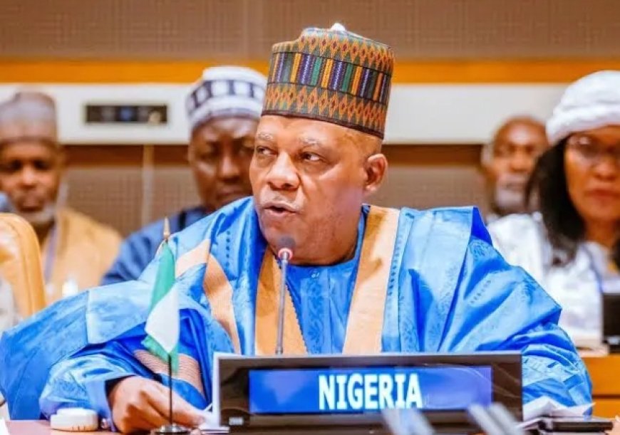 'Run Away from Anywhere There is No Ibo Man': Mixed Reactions Greet Vice President Kashim Shettima's Statement