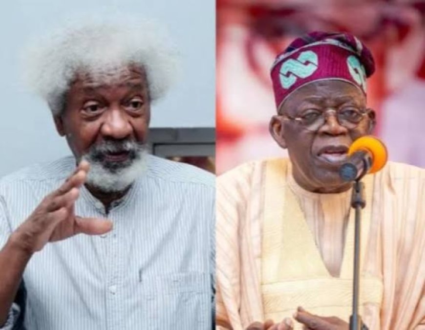 Nobel Laureate Soyinka Questions Nigeria's Priorities As Senate Approves Tinubu’s Request to Send Troops to Benin Republic