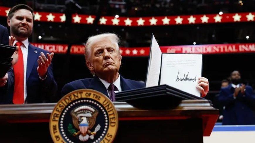 Trump Finally Clears Air, Says America’s Birthright Citizenship Meant For Babies of Slaves