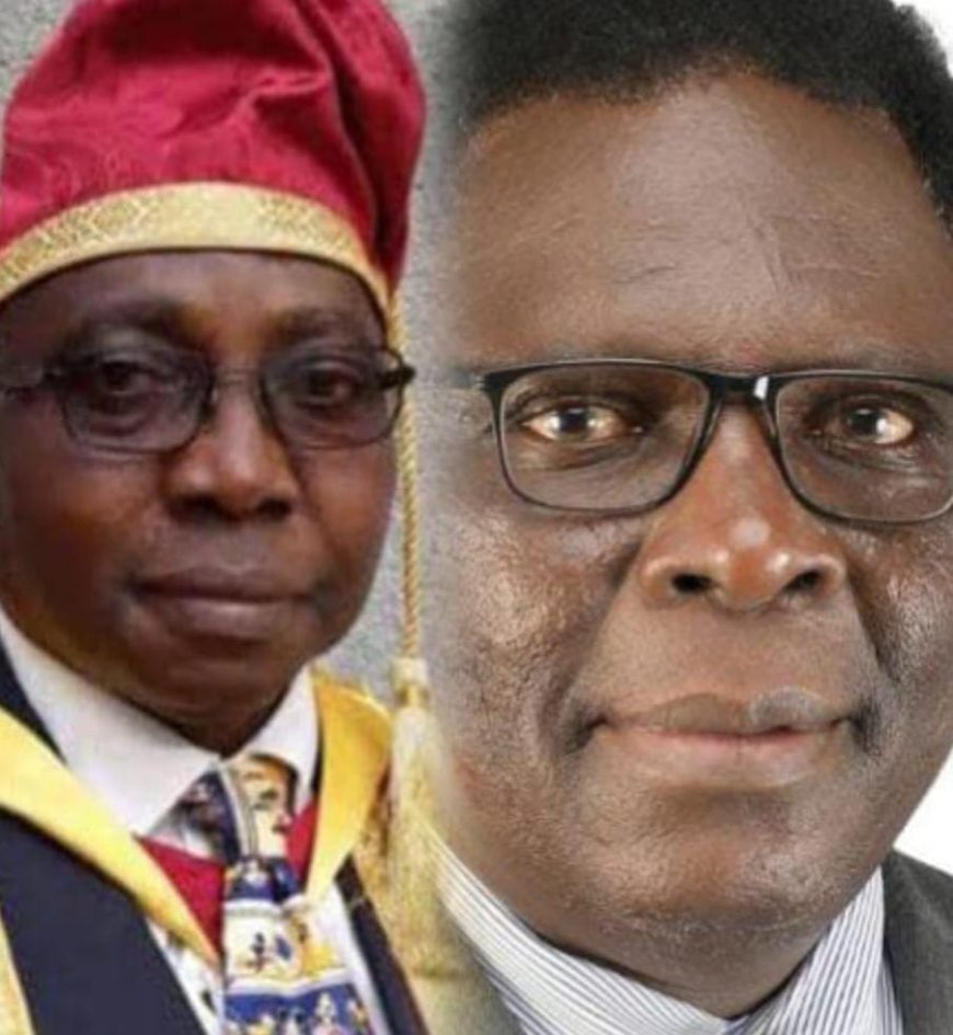 SECTORAL X-RAY: Private Universities in Nigeria Not on Solid Footing, Amund, Oyewole Warn: 'I Own It' Syndrome May Kill Many Varsities