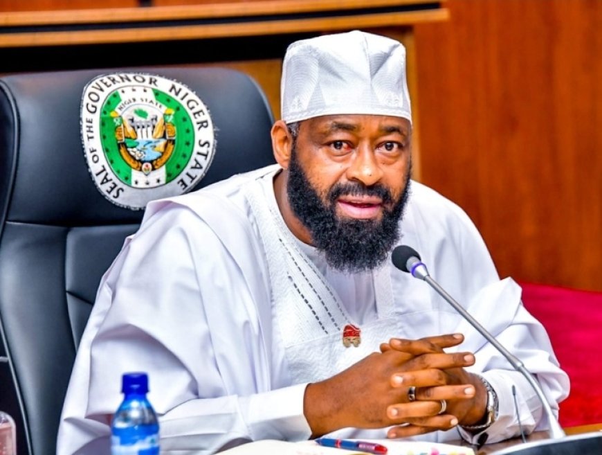 Niger Governor Sacks 30 Appointees