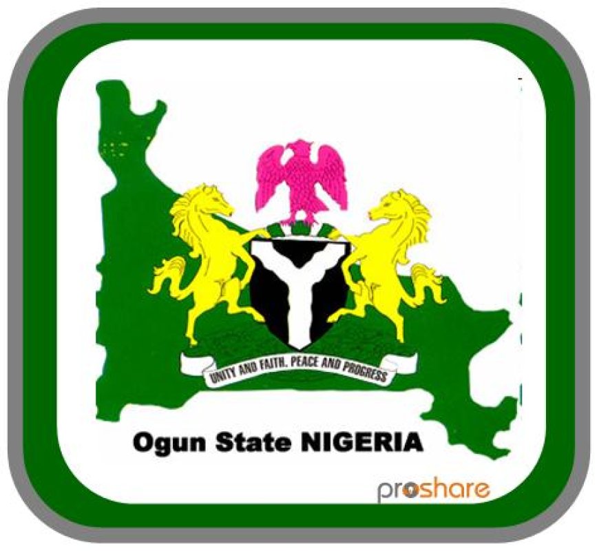 Paddy-Arikawe Road: Ogun Orders Contractor to Stop Work, Warns All Contractors to Follow Specifications