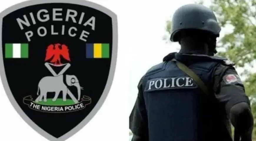 Nigerian Police DSP Shoots Self Dead Over Alleged Supply of Arms to Bandits