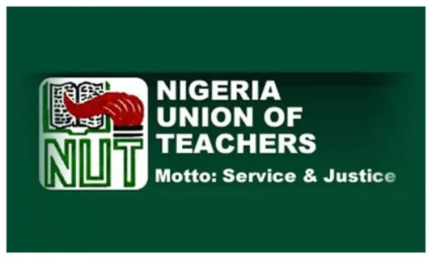 "Teaching Is a Noble Profession, Not a Death Sentence", Teachers Vow to Resign Over Insecurity