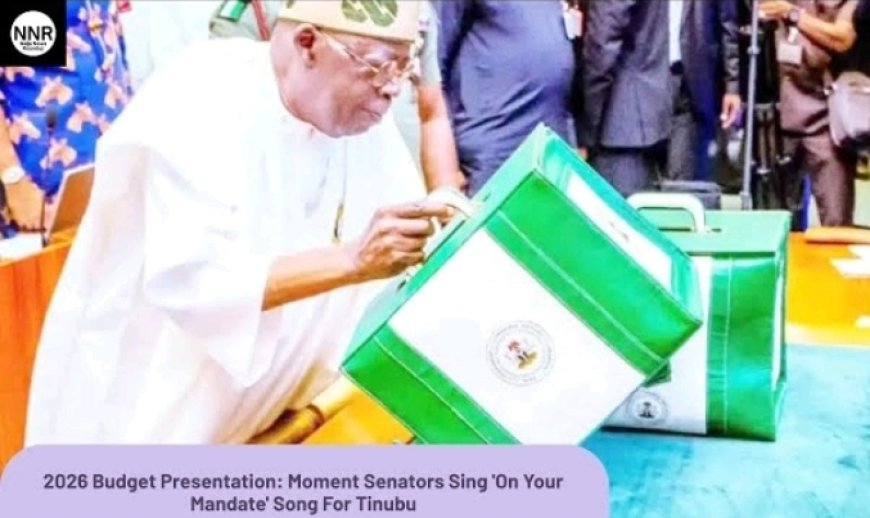 Know What’s Inside 2026 Budget for You As President Tinubu Presents to Senate