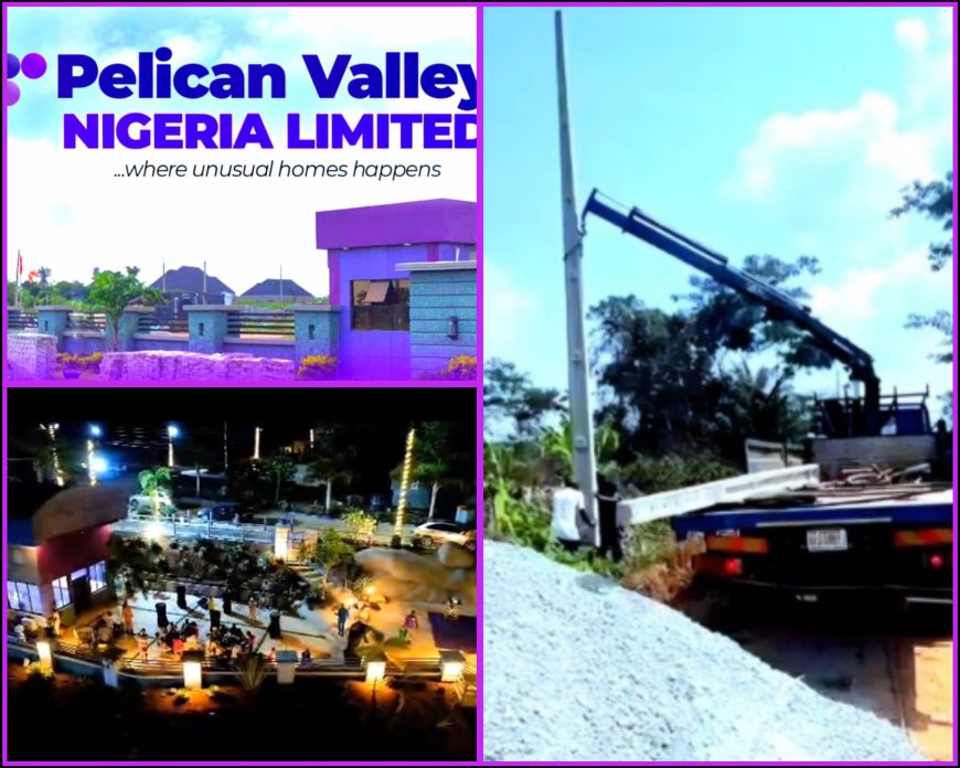 REAL ESTATE NEWS: Pelican Valley Connects AVI Street In Estate to Grid, CCTV, Street Lights,