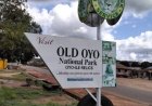 Many Feared Dead As Gunmen Attack National Park Service Oyo