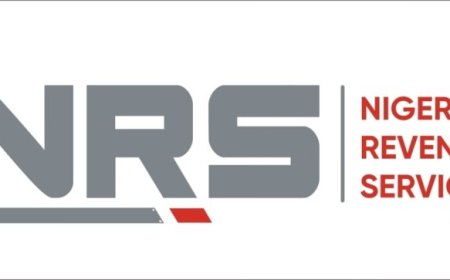 New Tax Reform: FIRS Officially Transitions Into NRS, Unveils Logo