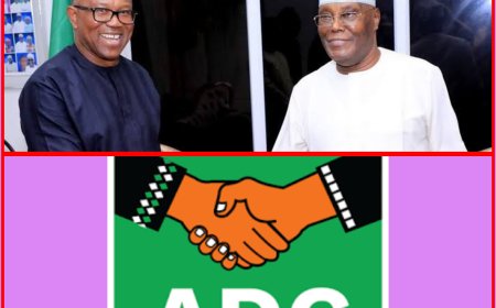 More Political Drama Unfolds As Obi Dumps Labour Party For Opposition Coalition Party ADC