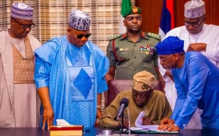 Message to Tinubu: Suspend January 2026 Tax Laws or Face Nationwide Protests - Nigerian Youth Unions