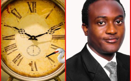 Chrono-Strategy: How To Spot Your Moment And Make It Count By Tolulope A. Adegoke, PhD.