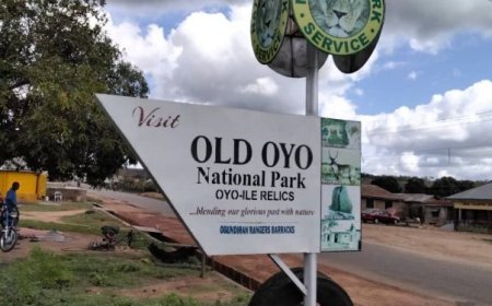 Many Feared Dead As Gunmen Attack National Park Service Oyo