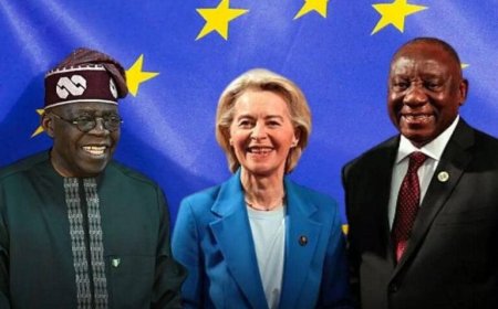 Big Win For Nigeria As EU Removes Nigeria From High-Risk Financial List