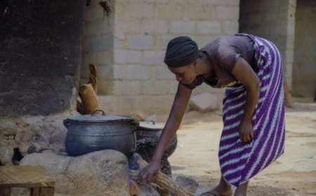 Firewood Cooking Puts Nigerian Children at Risk of Low IQ, Experts Warn