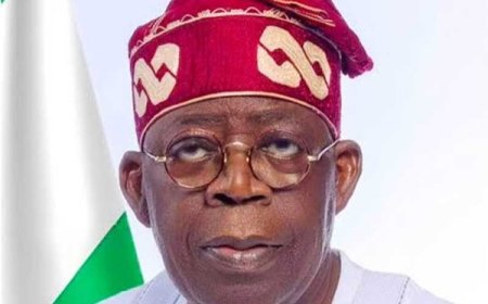 Ahead Scheduled State Visit to Turkey, Tinubu Appoints New Ambassadors to France, US, UK, Turkey 